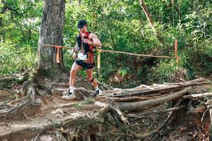 BIB: 
                            <button type="button" onclick="openModal(27555177)" class="btn btn-primary btn-sm float-right btn-popup" data-toggle="modal" data-target=".modal-high-quality">
                        <i class="fas fa-shopping-cart"></i> Add to Cart
                    </button>
                                            <button type="button" onclick="isThisMe(27555177, true)" class="btn btn-success btn-sm float-right btn-popup btn-isme hidden" data-toggle="tooltip" data-placement="bottom" title="นี่คือรูปของคุณใช่ไหม คลิกที่นี่เพื่อเอาเข้าอัลบั้ม">
                        <i class="fas fa-plus"></i> Add to album
                    </button>
                    <button type="button" onclick="isThisMe(27555177, false)" class="btn btn-warning btn-sm float-right btn-popup btn-isnotme hidden">
                        <i class="fas fa-ban"></i> Remove from album
                    </button>